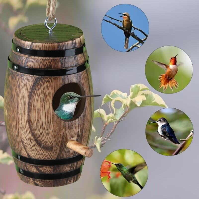 DY-SKTY outdoor hummingbird house mounted on a pole