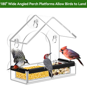 DY-SKTY watch wild birds from the kitchen becomes delightful