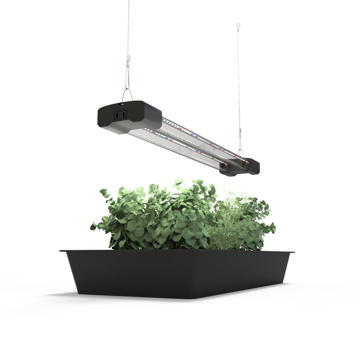 DYMOND BoostGro full-spectrum LED light provides balanced light for indoor gardens.