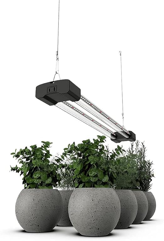 DYMOND BoostGro emitting 660nm red light to support flowering