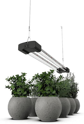 DYMOND BoostGro emitting 660nm red light to support flowering