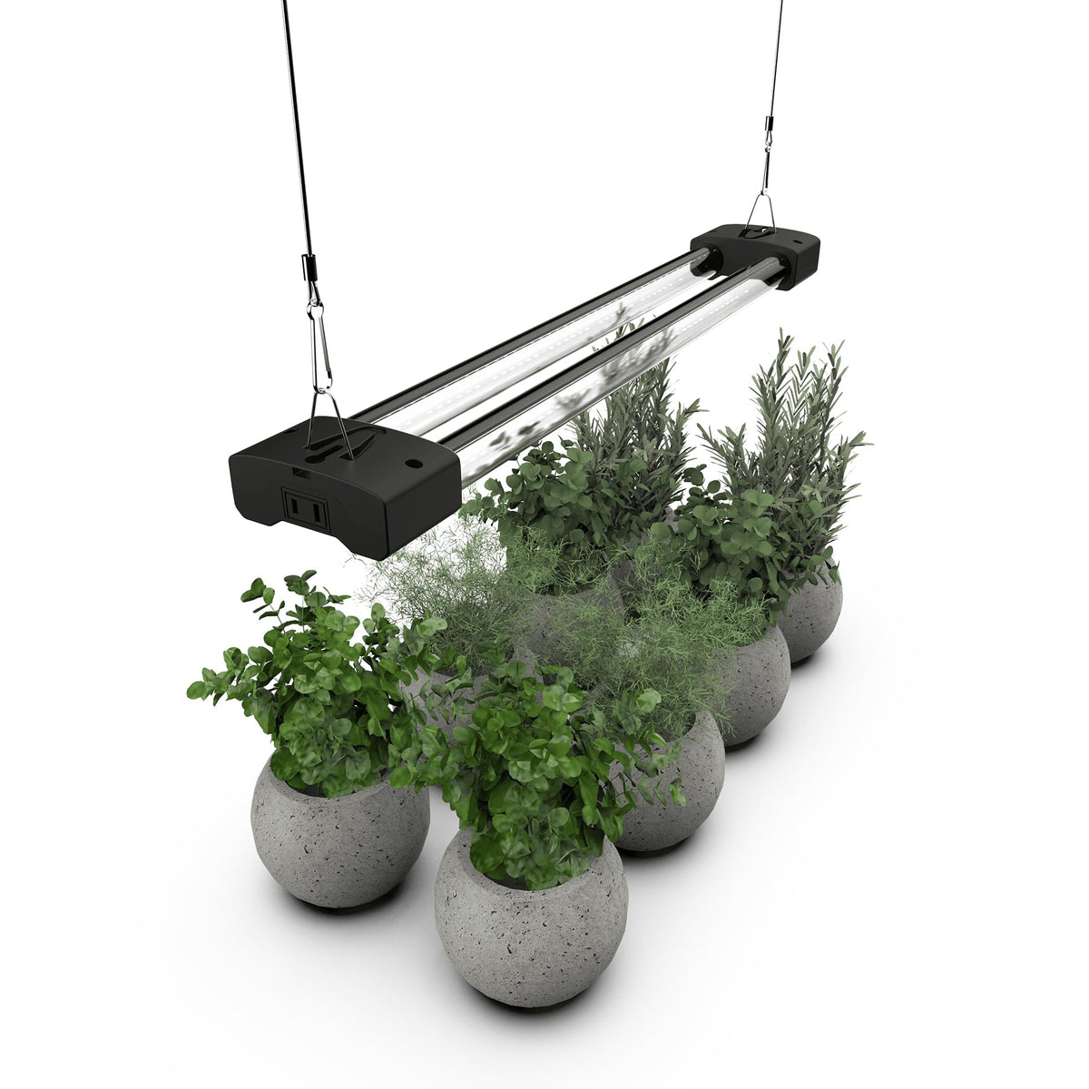 DYMOND BoostGro LED grow light delivering full spectrum for indoor plants