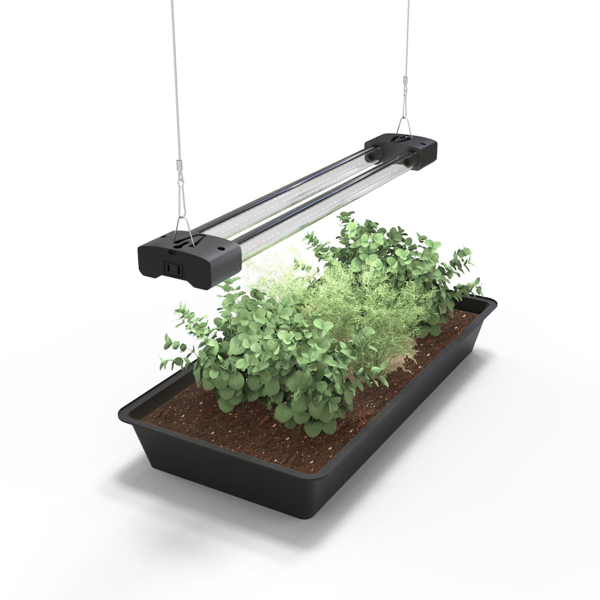 DYMOND BoostGro LED seed-starter panel promotes healthy early leaf growth.