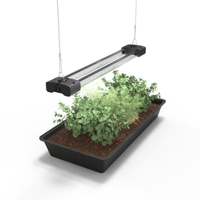 DYMOND BoostGro LED seed-starter panel promotes healthy early leaf growth.