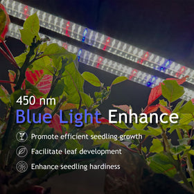 DYMOND BoostGro red-blue spectrum enhances sprouting and flowering stages.