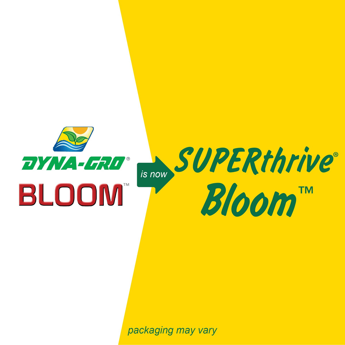 Dyna-Gro Bloom formulation with low soluble salts benefits roots