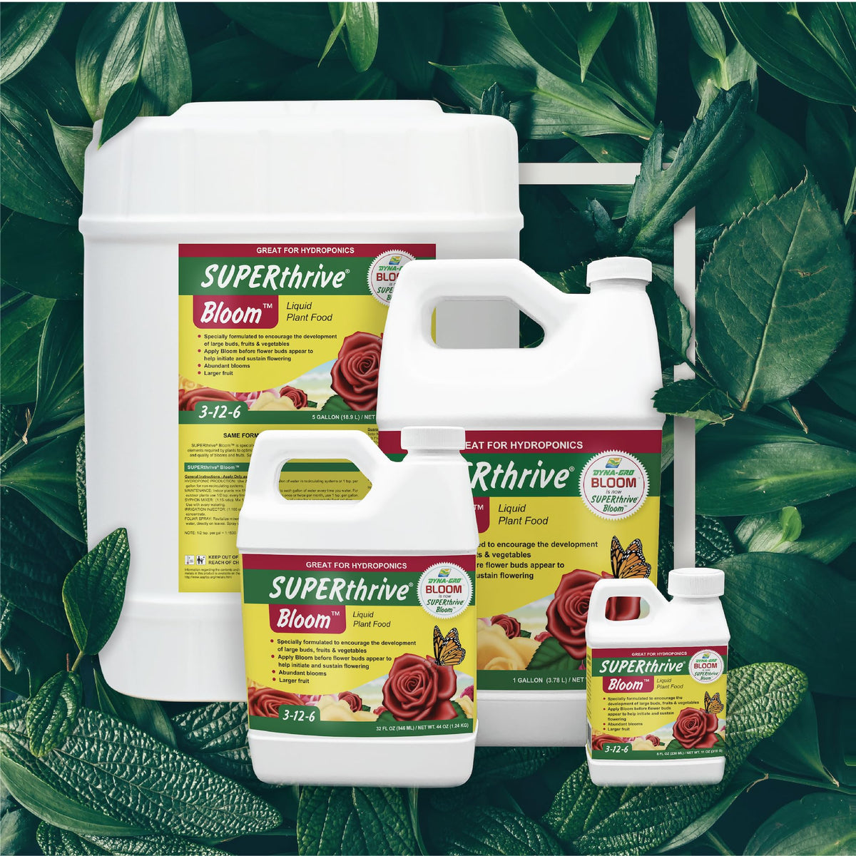 Dyna-Gro Bloom ideal for poor soil and container gardens
