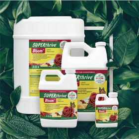 Dyna-Gro Bloom ideal for poor soil and container gardens