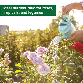 Dyna-Gro Foliage-Pro bottle pour demonstrates easy feeding for houseplants.