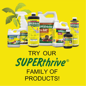 Dyna-Gro Foliage-Pro shelf display conveys ready-to-use tropical care.