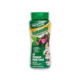 Dynamite all-purpose 9-month plant food bag showing long-lasting feeding for healthier growth.