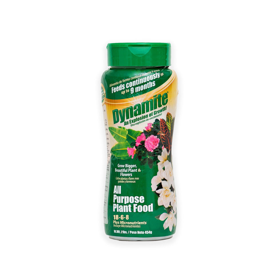 Dynamite all-purpose 9-month plant food bag showing long-lasting feeding for healthier growth.