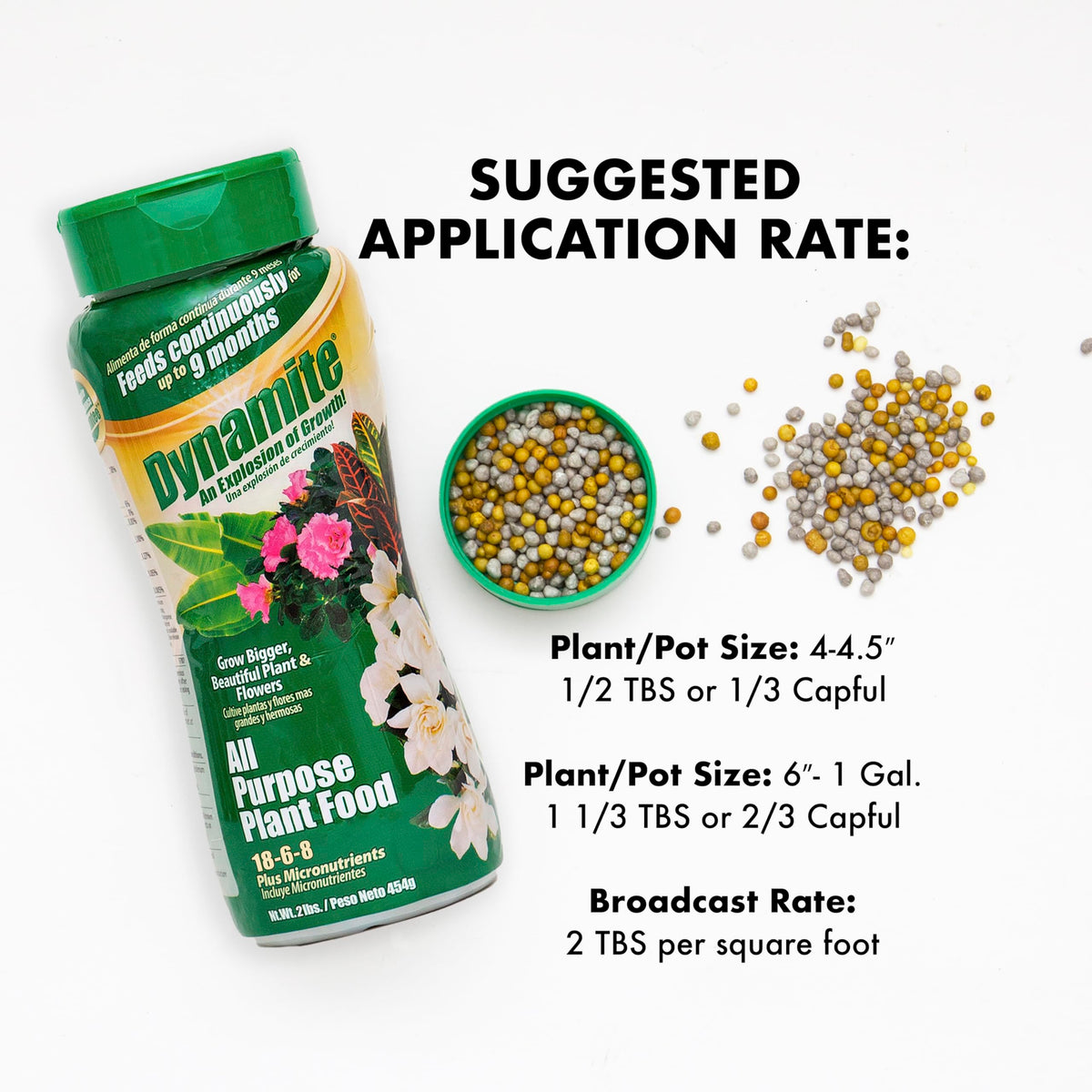 Dynamite plant food being applied in a garden for even indoor and outdoor nourishment.