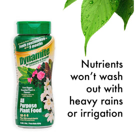 Dynamite plant food nutrient close-up highlighting essential minerals for robust roots.