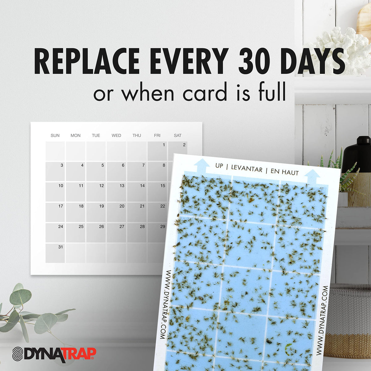 Dynatrap Trap with decorative cover conceals cards for décor-friendly use.