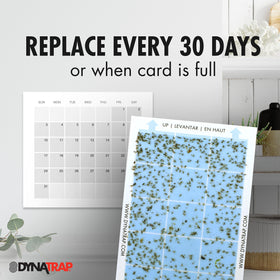 Dynatrap Trap with decorative cover conceals cards for décor-friendly use.