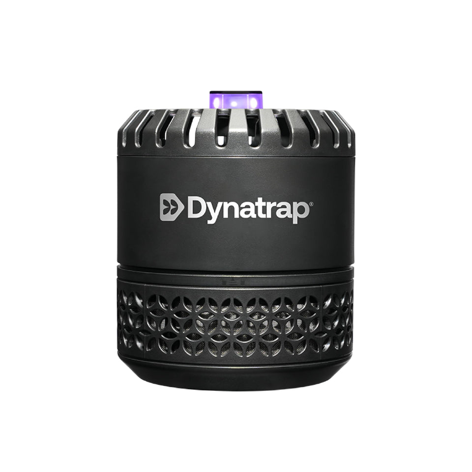 DynaTrap DT152 indoor trap front view shows discreet design and effective pest control.