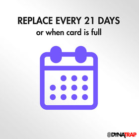 DynaTrap StickyTech six-pack replacement cards reduce downtime between changes.