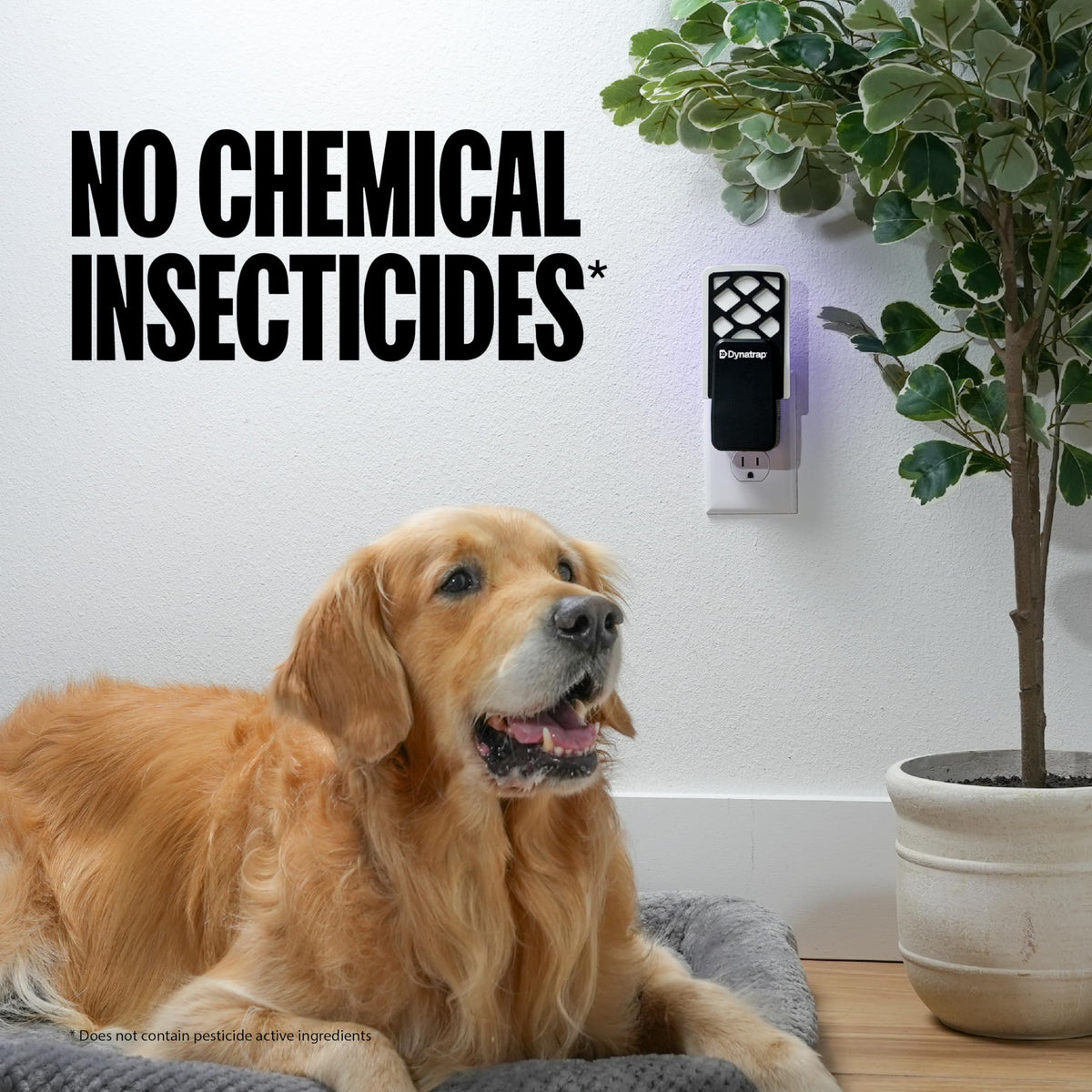 Dynatrap DT3007 ideal for kitchens and pet areas.