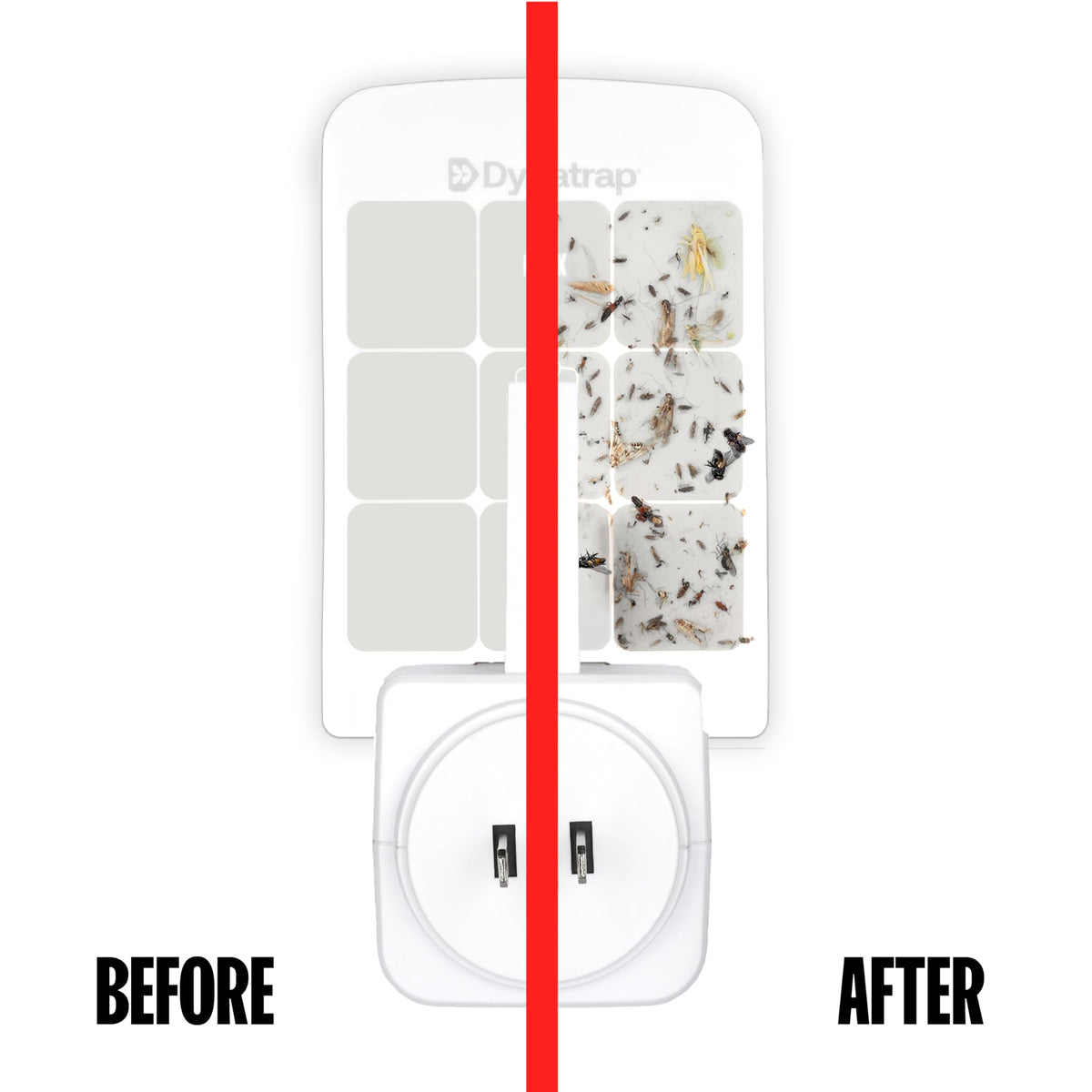 Glue card inserted into Dynatrap, enabling discreet insect capture.