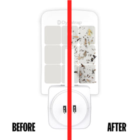 Glue card inserted into Dynatrap, enabling discreet insect capture.
