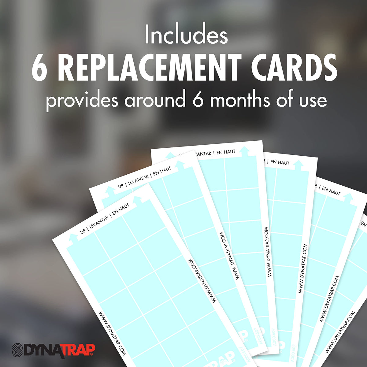 Dynatrap six-card replacement setup emphasizes convenient indoor protection.