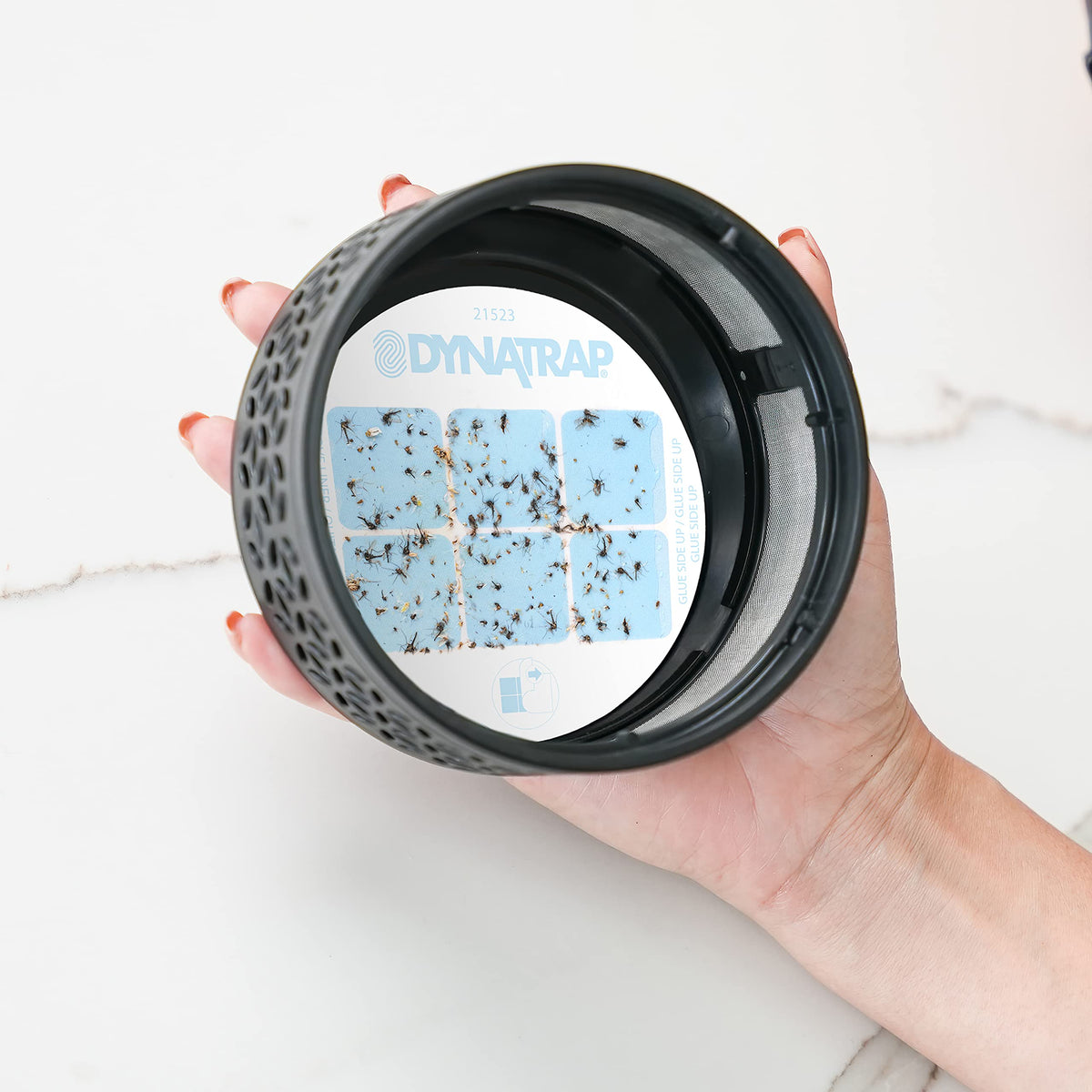 Dynatrap StickyTech packaging shows a 12-card refill for DT152