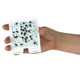 No-fan DOT design remains quiet while trapping flying pests.