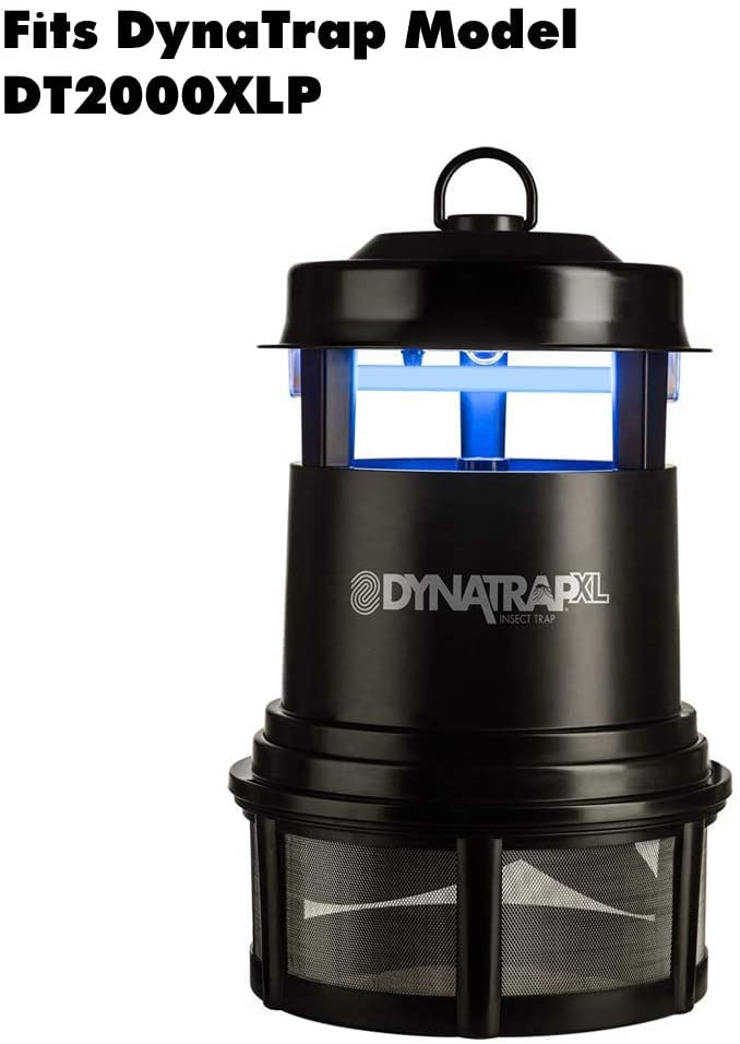Bulbs installed in the trap illuminate with a steady blue-white glow.