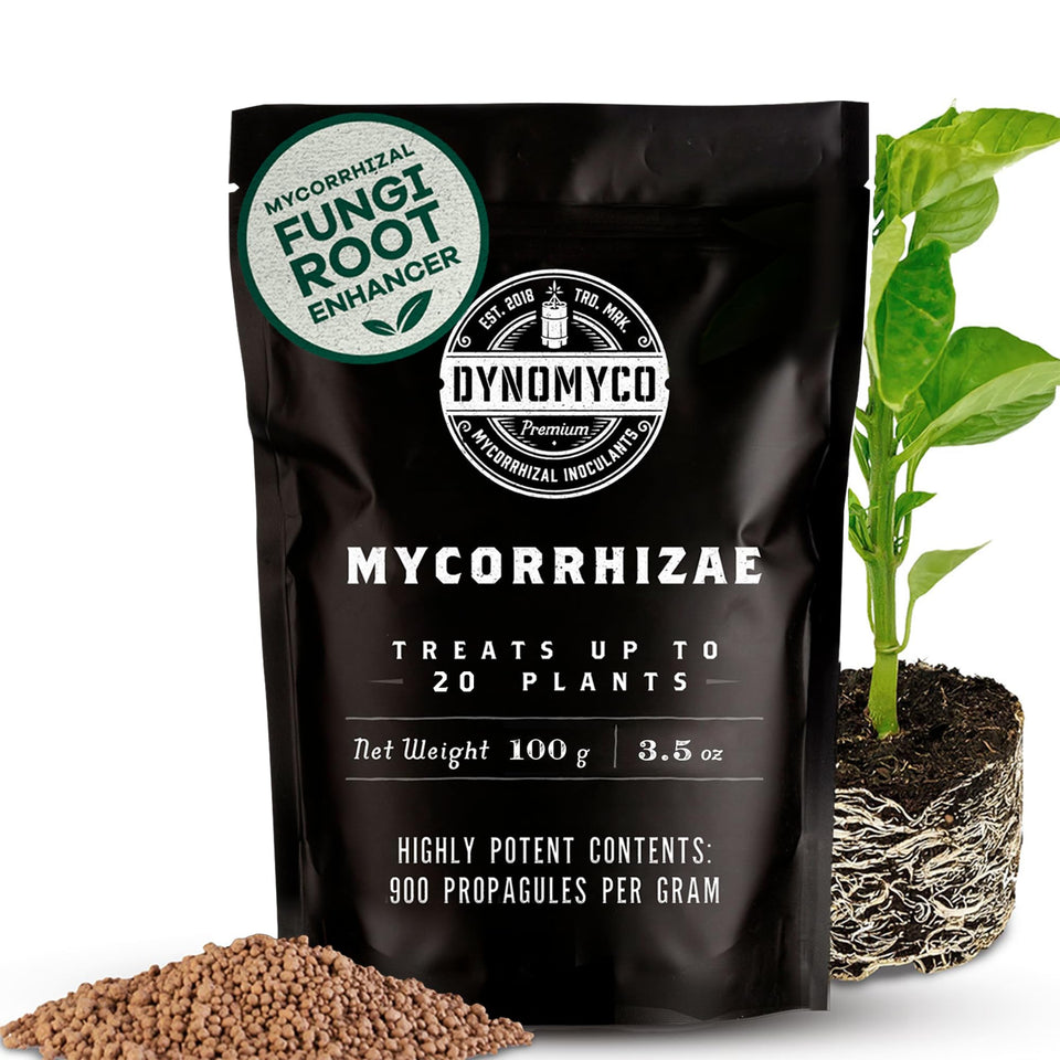 Dynomyco granular inoculant granules ready for soil application to boost root growth.