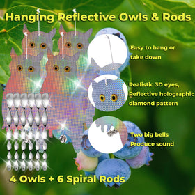 Dyvicl owl with bells adds acoustic deterrence for safe outdoor spaces
