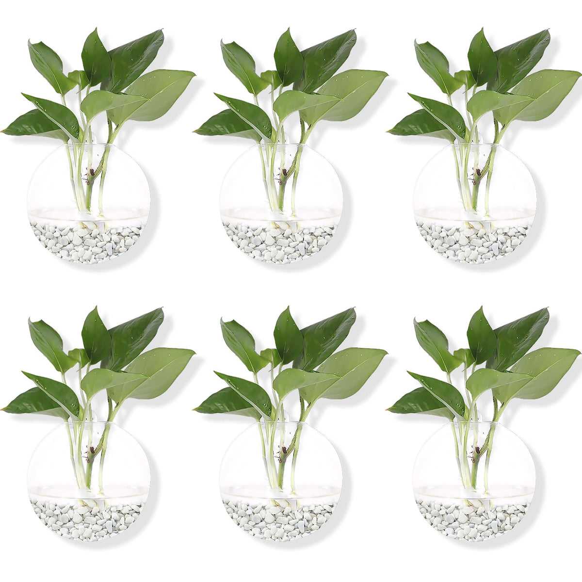 DZHJKIO wall planter set, heat-resistant glass, durable for lasting home decor.