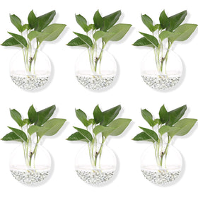 DZHJKIO wall planter set, heat-resistant glass, durable for lasting home decor.