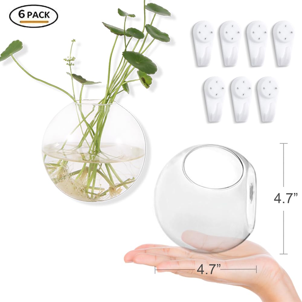 DZHJKIO six-pack glass planters, includes nails for quick wall installation.