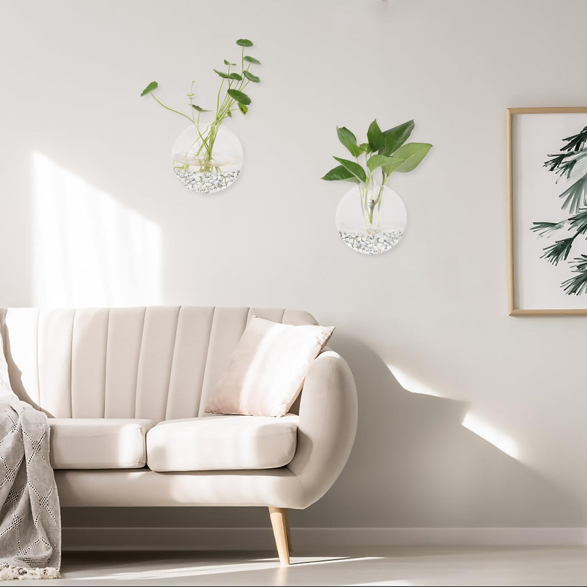 DZHJKIO compact wall-hanging terrariums, perfect for micro-gardens and desk corners.
