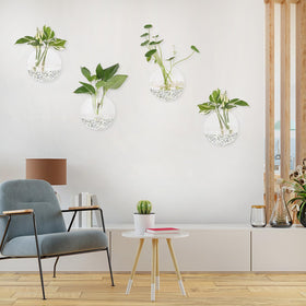 DZHJKIO space-saving glass plant containers, easy to remove for care and refreshing displays.