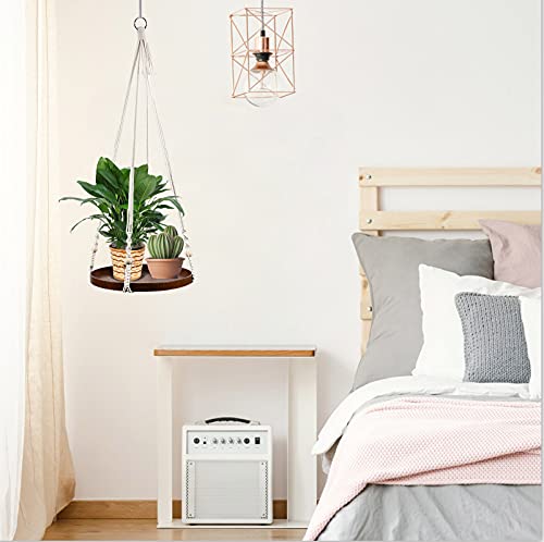 E-Know hanging display saves shelf space while elevating plant visibility.
