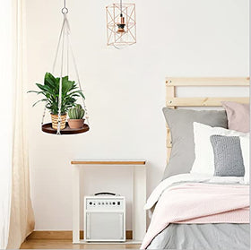 E-Know hanging display saves shelf space while elevating plant visibility.