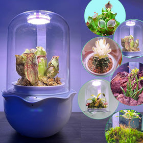 E SUPEREGROW LED grow light supports photosynthesis for compact indoor gardening