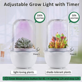 E SUPEREGROW lighting control adapts to plant needs and schedules for energy-efficient care