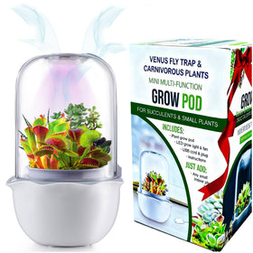 E SUPEREGROW terrarium with transparent cover boosts airflow and plant visibility