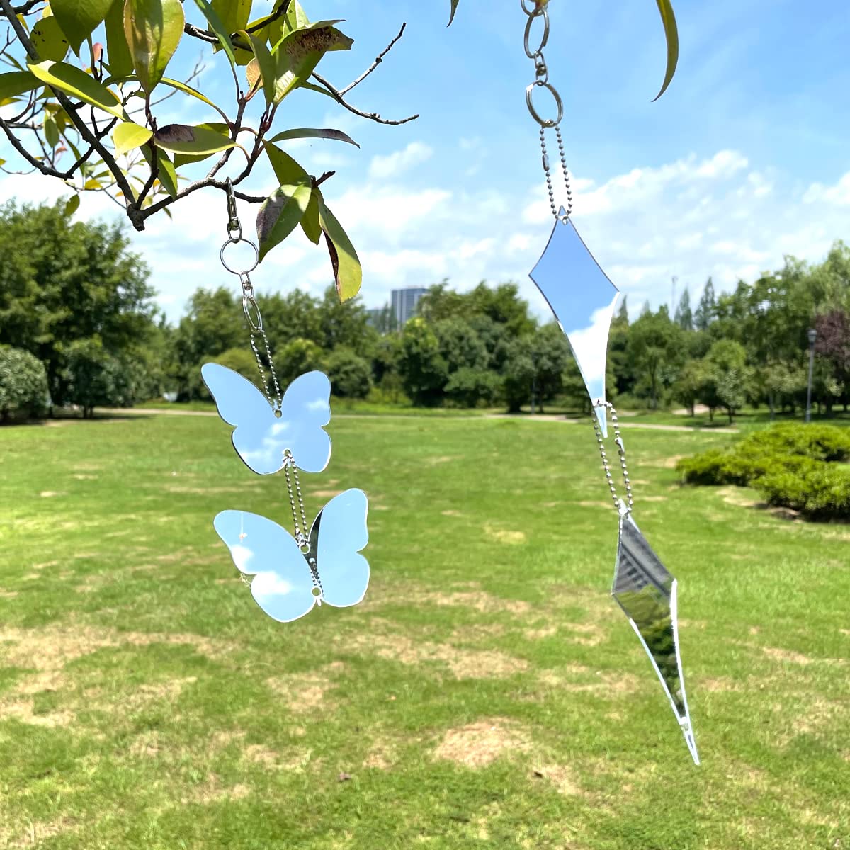 EACILLES butterfly disc assembly instruction shows simple setup.