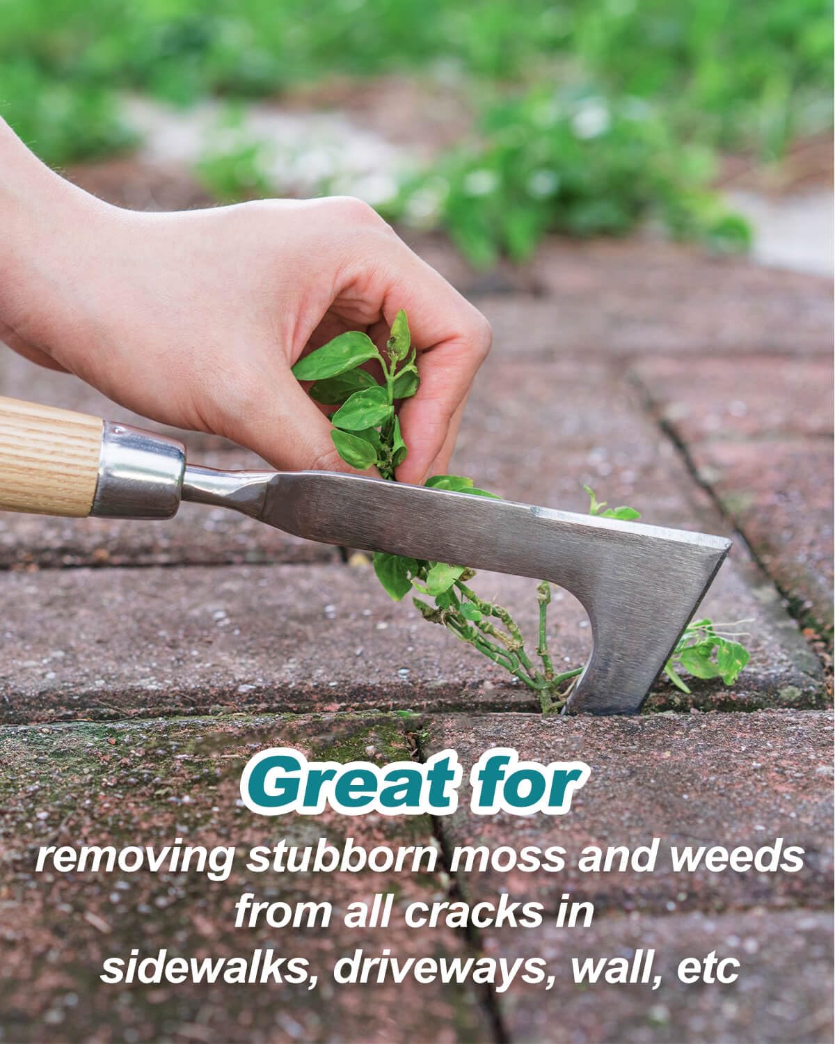 Eadwiella crack weeder ash wood handle close-up for comfortable grip