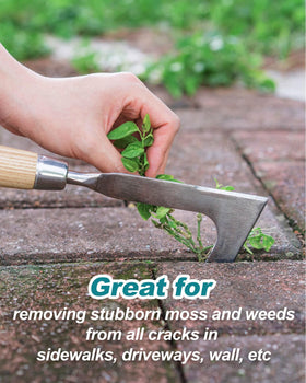 Eadwiella crack weeder ash wood handle close-up for comfortable grip