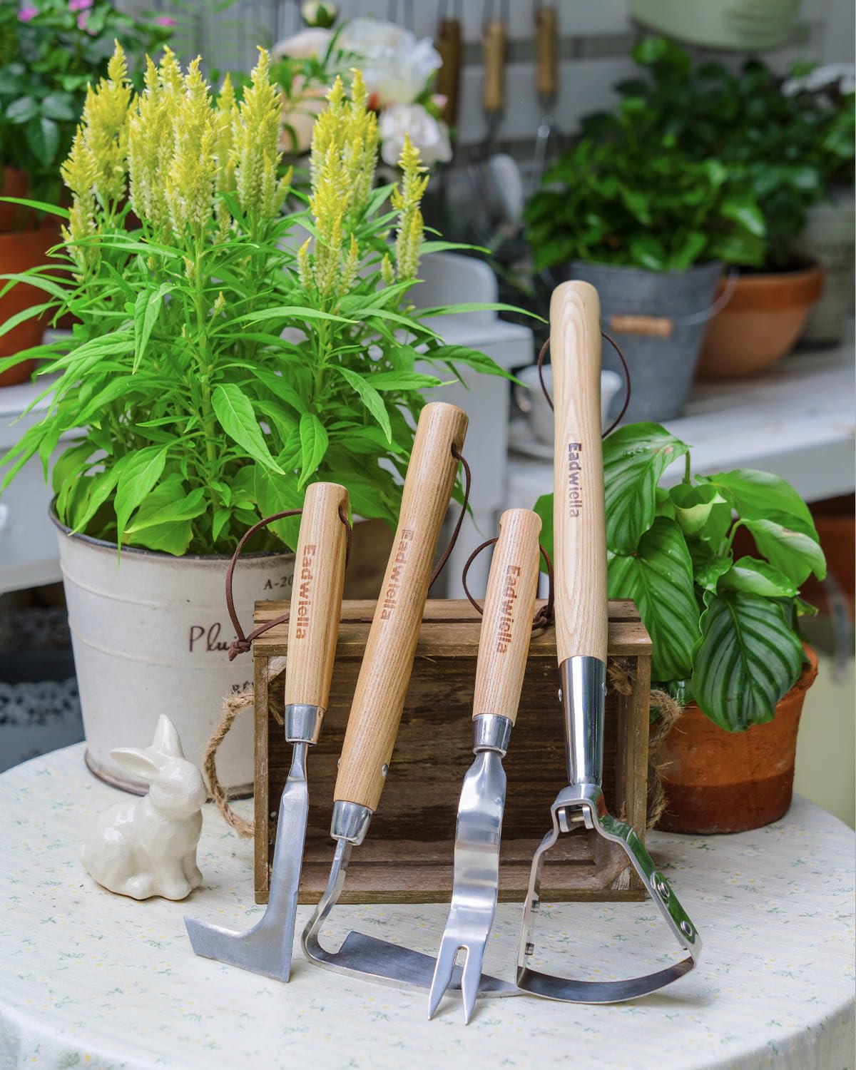 Eadwiella crack weeder ideal for sidewalks and driveways use between paving