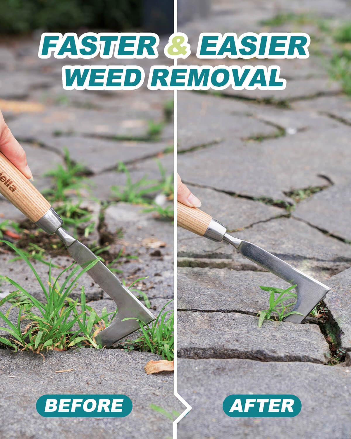 Eadwiella crack weeder rust-resistant steel head in cracks between paving