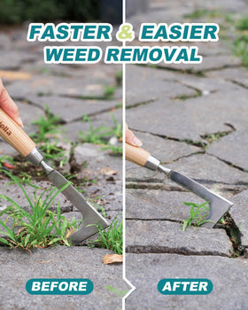 Eadwiella crack weeder rust-resistant steel head in cracks between paving