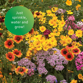 Earth Science Natural mulch layer protects seeds and preserves soil moisture.