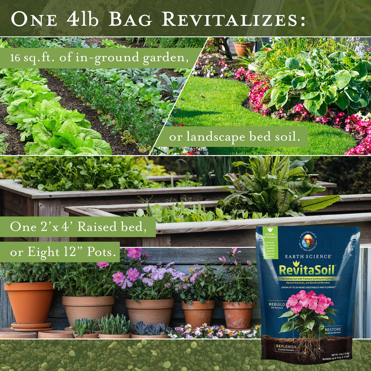 Garden vegetables thriving after RevitaSoil application.