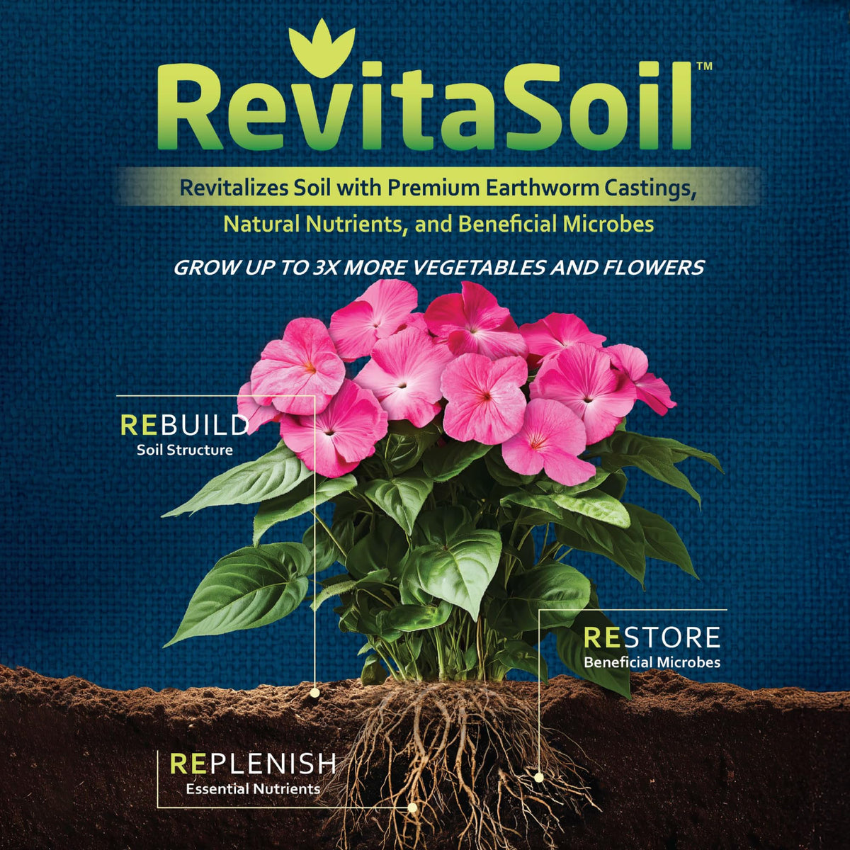 Applying RevitaSoil into garden soil enhances nutrient availability and microbial life.